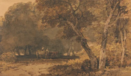 Ein Waldweg